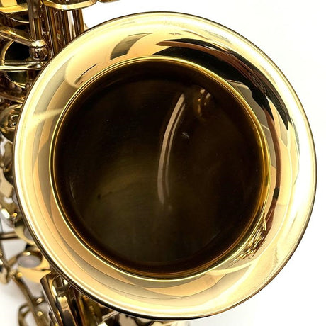 Used_Selmer_SA-80II_W_E_GL_Alto_Saxophone,_S_N__410xx8__Shipped_after_adjustment_and_setup__Includes_5-year_free_key_balance_adjustment__06