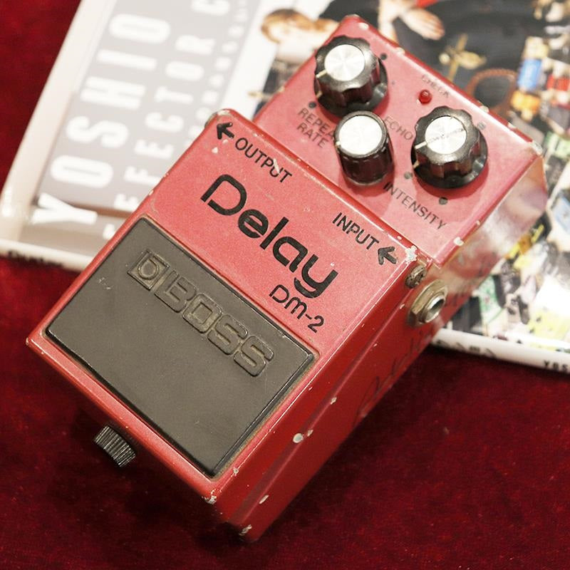 VINTAGE_DM-2_Delay_early_version_'82_05