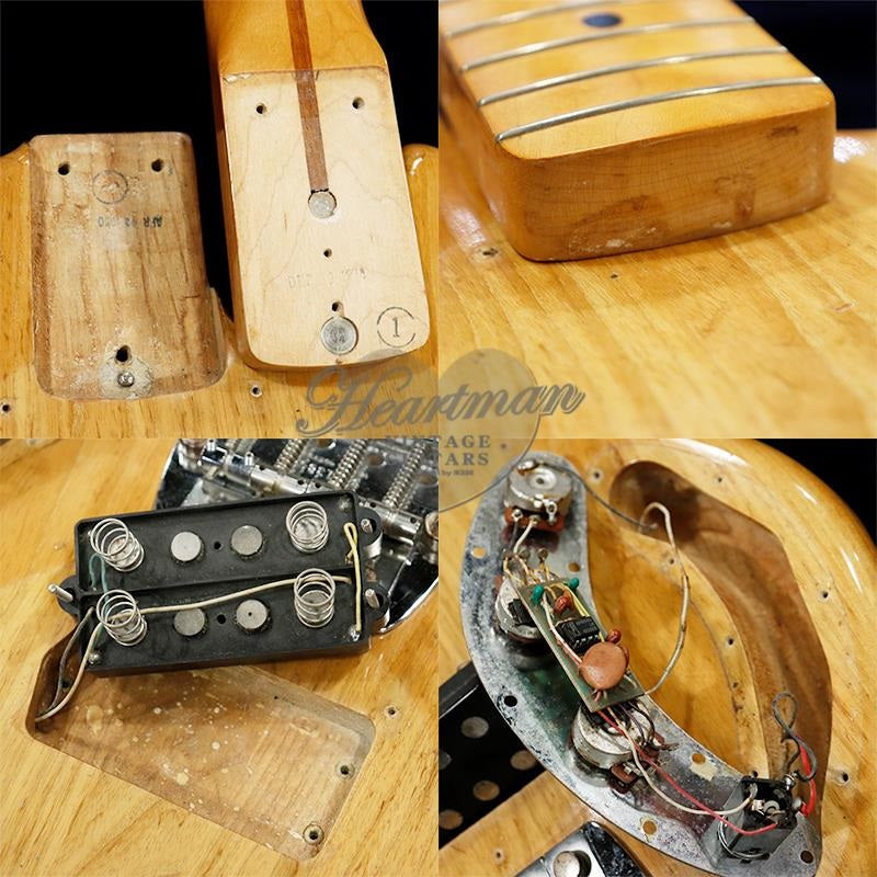 VINTAGE_Sting_Ray_Bass_'80_Natural_M_07