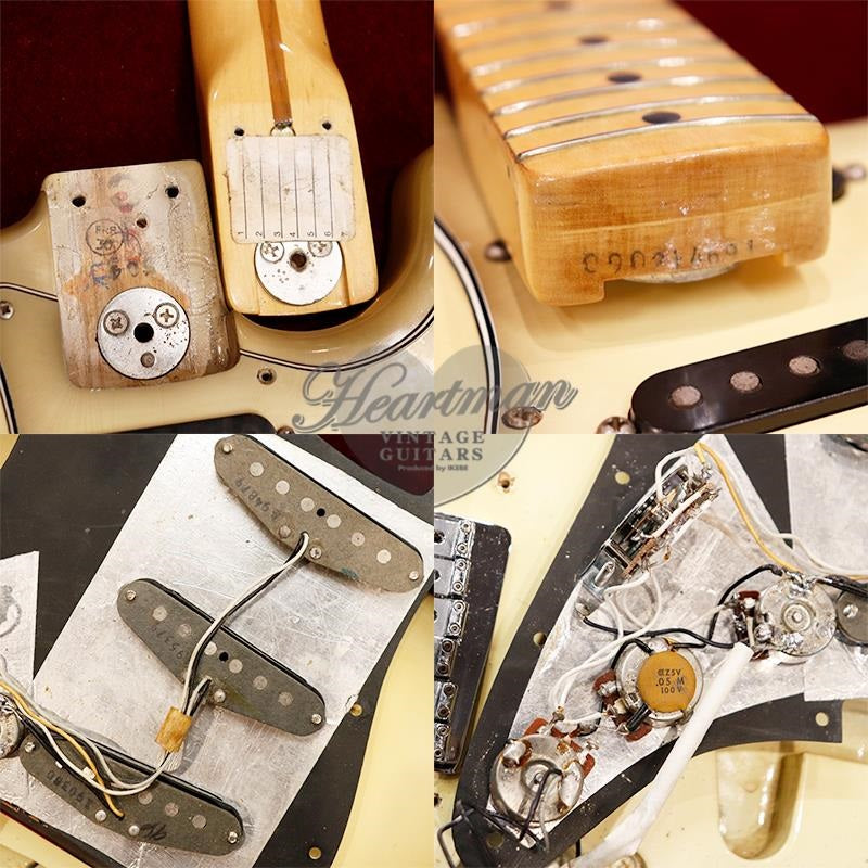 VINTAGE_Stratocaster_'80_Hardtail_Antigua_M_07