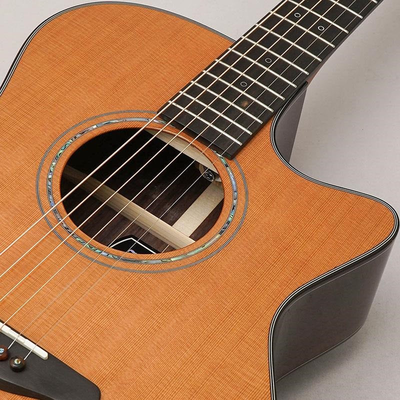 Yellow_Gc-CRa_#133830_Forhi_07