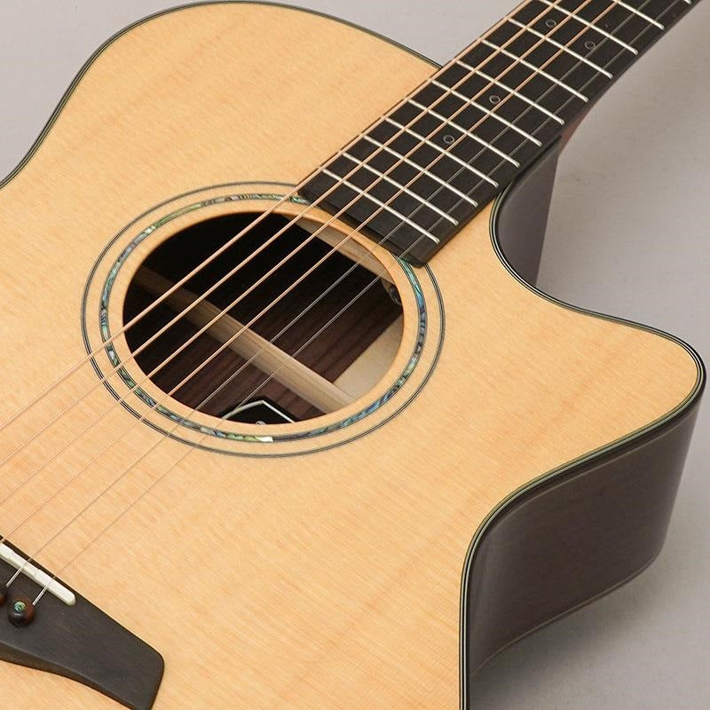 Yellow_Gc-SRa_#133826_Forhi_07