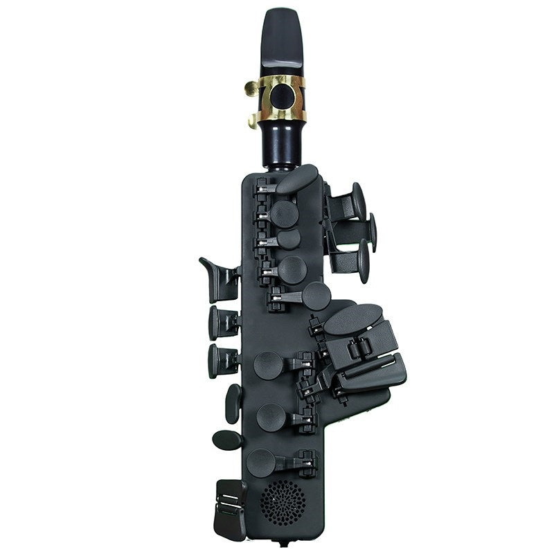 odiseimusic_Odyssey_Music_Travel_Sax2_TS-2_01