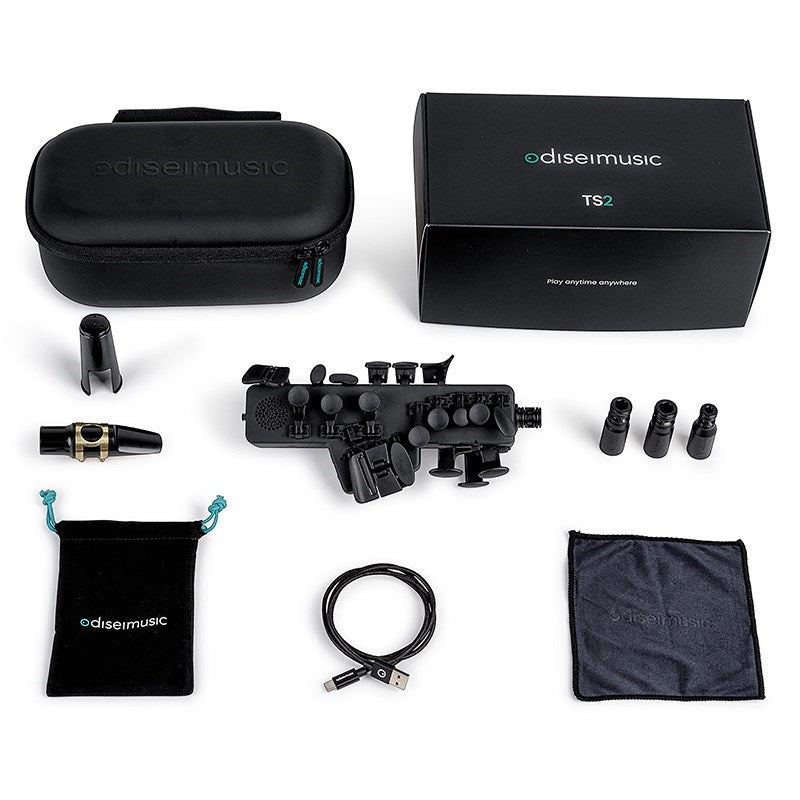 odiseimusic_Odyssey_Music_Travel_Sax2_TS-2_06