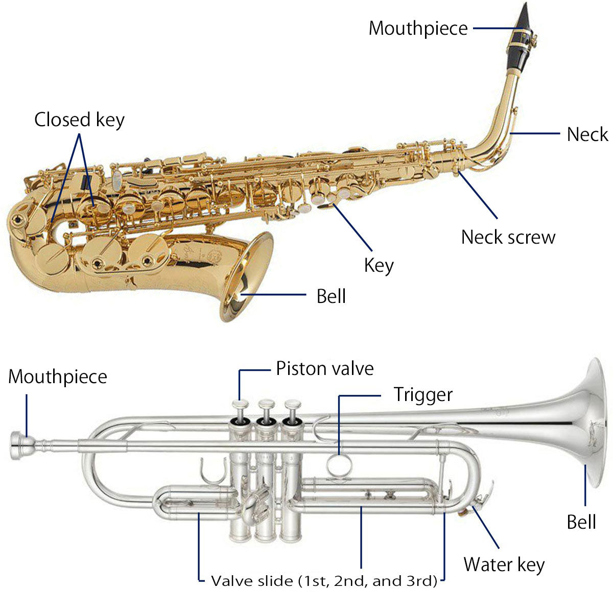 For those considering purchasing a saxophone or trumpet