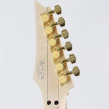 PIA3761-SLW_(Stallion_White)_[Steve_Vai_Model]_10
