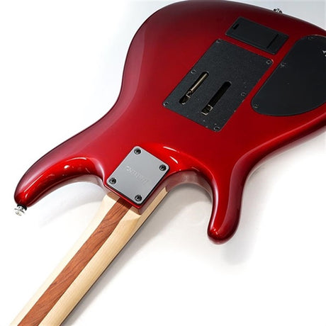 JS240PS-CA_[Joe_Satriani_Signature_Model]_07