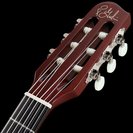 ACS_Slimneck_(NAT)_Godin_05