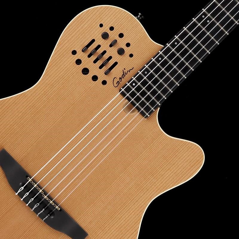 ACS_Slimneck_(NAT)_Godin_07