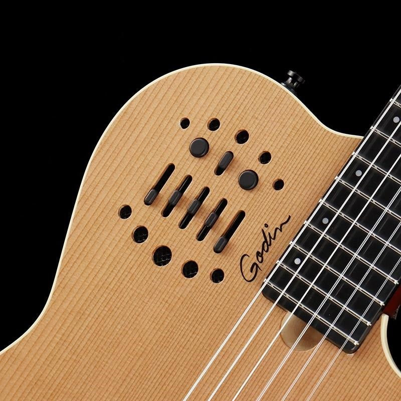 ACS_Slimneck_(NAT)_Godin_08