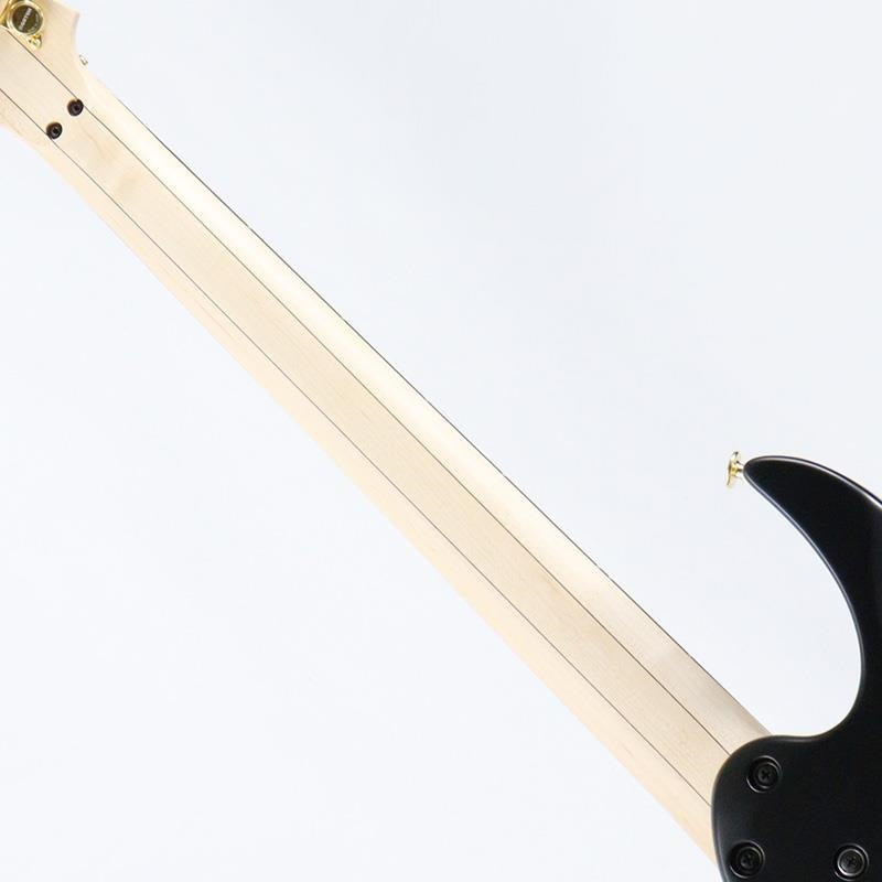 PIA3761-XB_(Onyx_Black)_[Steve_Vai_Model]_08