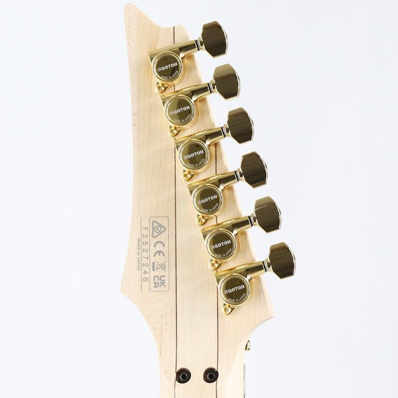 PIA3761-XB_(Onyx_Black)_[Steve_Vai_Model]_10