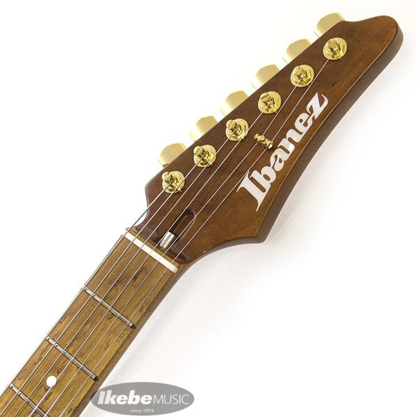 LB1-VL_[Lari_Basilio_Signature_Model]_09