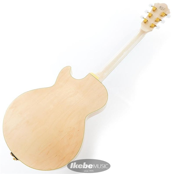 GB10-NT_[George_Benson_Model]_03