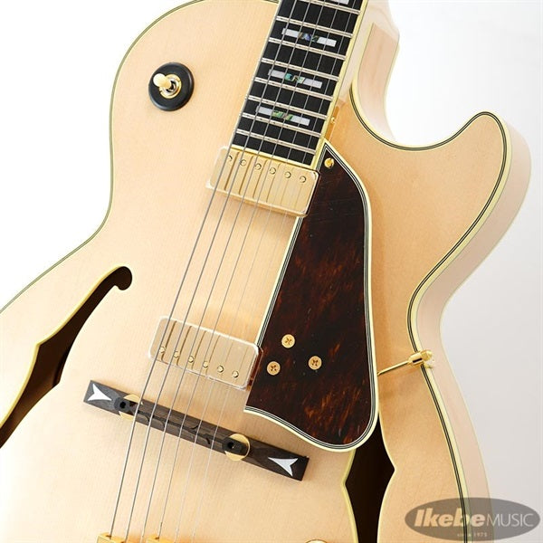 GB10-NT_[George_Benson_Model]_04