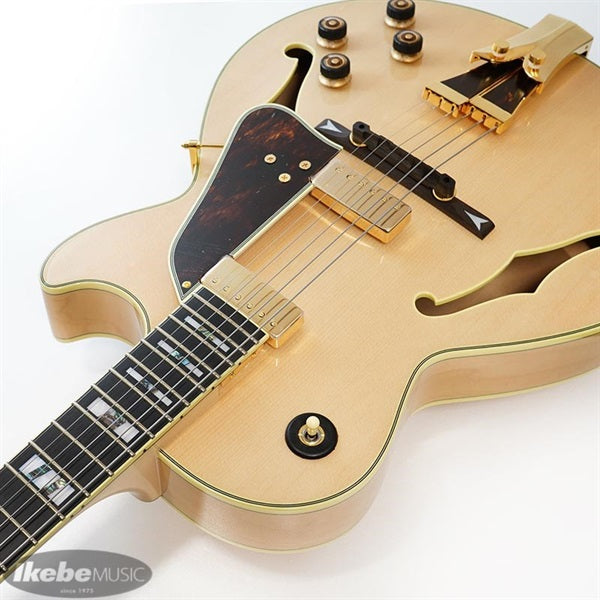 GB10-NT_[George_Benson_Model]_06
