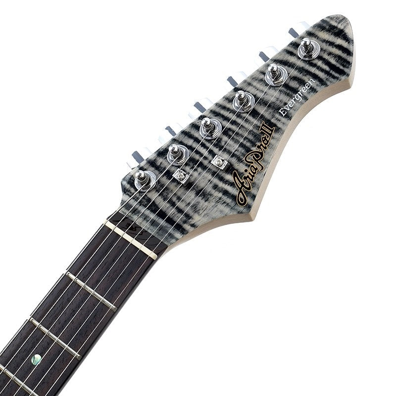 714-AE200 (Black Diamond) by Aria ProII – Ikebe Musical