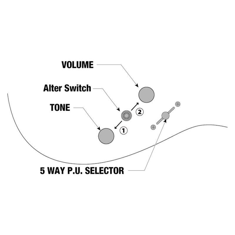 Prestige_AZ2402-TFF_(Tri_Fade_Burst_Flat)_09