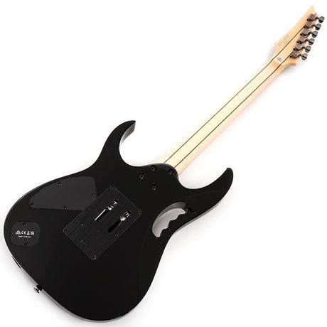 JEM77P-BFP_[Steve_Vai_Signature_Model]_03