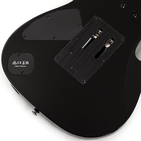 JEM77P-BFP_[Steve_Vai_Signature_Model]_08