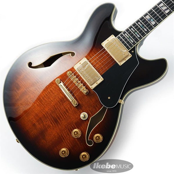 JSM100-VT_[John_Scofield_Signature_Model]_01