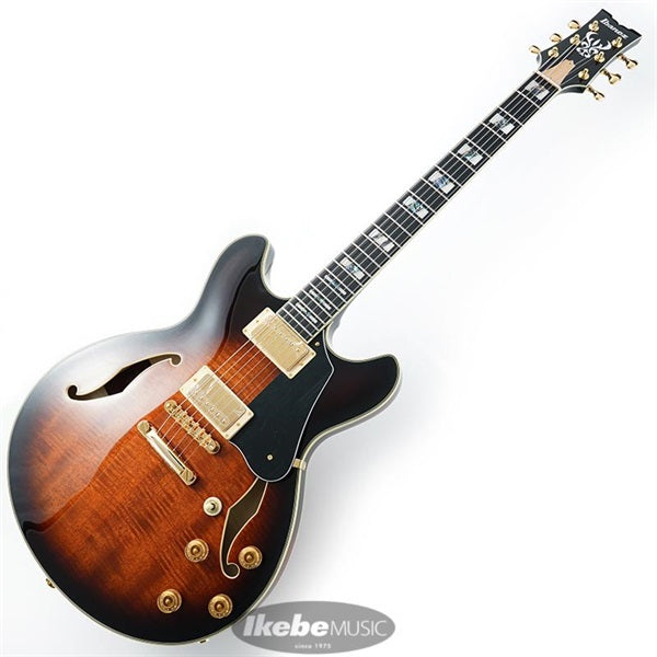 JSM100-VT_[John_Scofield_Signature_Model]_02