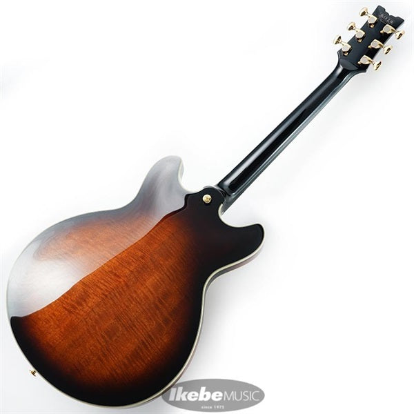 JSM100-VT_[John_Scofield_Signature_Model]_03