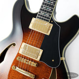 JSM100-VT_[John_Scofield_Signature_Model]_04