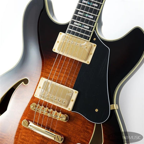 JSM100-VT_[John_Scofield_Signature_Model]_04