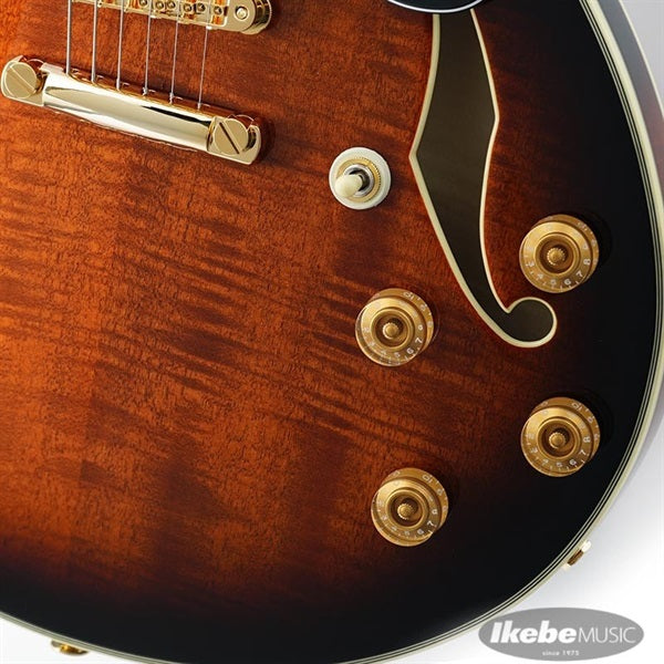 JSM100-VT_[John_Scofield_Signature_Model]_05