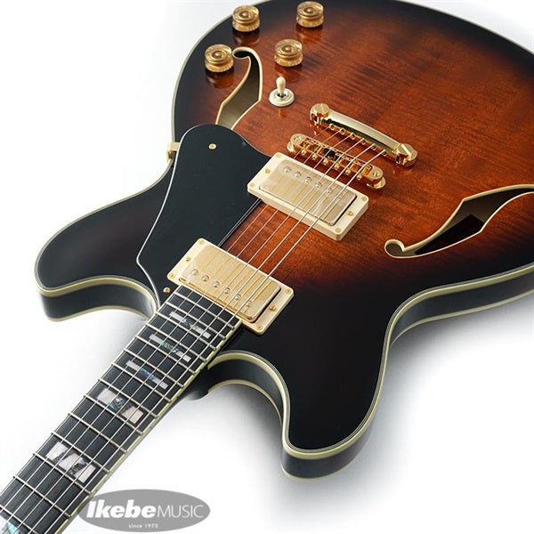 JSM100-VT_[John_Scofield_Signature_Model]_06