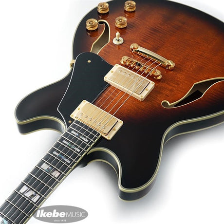 JSM100-VT_[John_Scofield_Signature_Model]_06