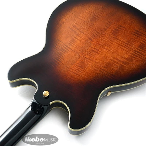 JSM100-VT_[John_Scofield_Signature_Model]_07