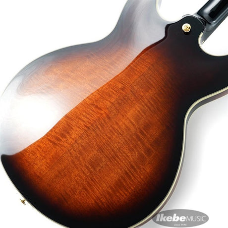 JSM100-VT_[John_Scofield_Signature_Model]_08