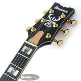 JSM100-VT_[John_Scofield_Signature_Model]_09
