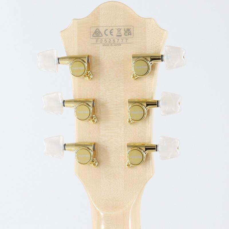 GB10-NT_(Natural)_[George_Benson_Model]_10