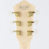 GB10-NT_(Natural)_[George_Benson_Model]_10