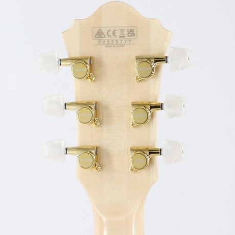 GB10-NT_(Natural)_[George_Benson_Model]_10