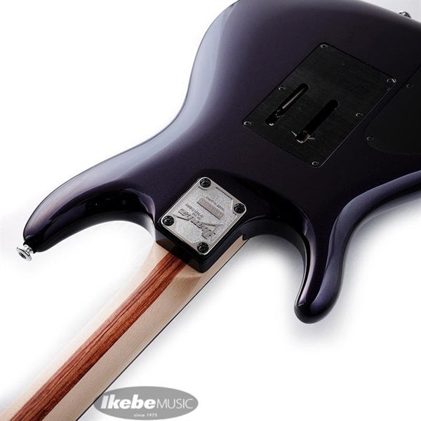 JS2450-MCP_[Joe_Satriani_Signature_Model]_07