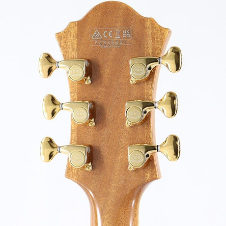 PM200-NT_(Natural)_[Pat_Metheny_Model]_10