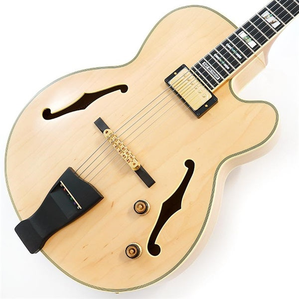 PM200-NT_[Pat_Metheny_Signature_Model]_01