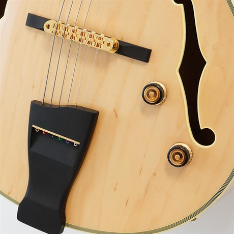 PM200-NT_[Pat_Metheny_Signature_Model]_05