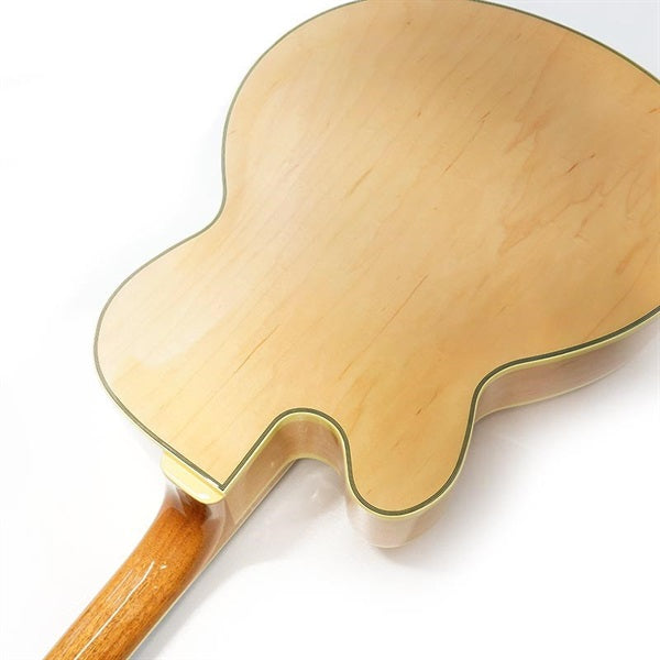 PM200-NT_[Pat_Metheny_Signature_Model]_07