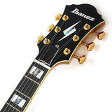 PM200-NT_[Pat_Metheny_Signature_Model]_09