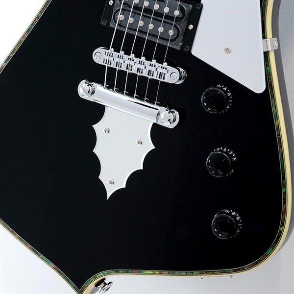 PS10-BK_[Paul_Stanley_Signature_Model]_05