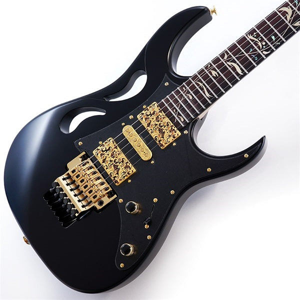 PIA3761-XB_[Paradise_in_Art_Steve_Vai_new_signature_model]_01