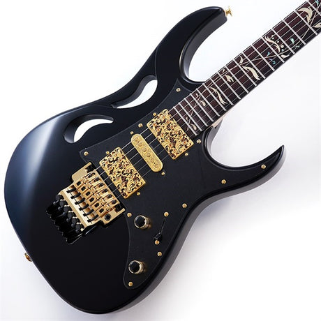 PIA3761-XB_[Paradise_in_Art_Steve_Vai_new_signature_model]_01