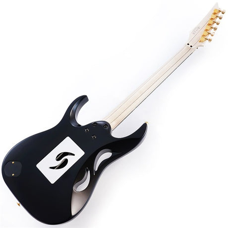 PIA3761-XB_[Paradise_in_Art_Steve_Vai_new_signature_model]_03