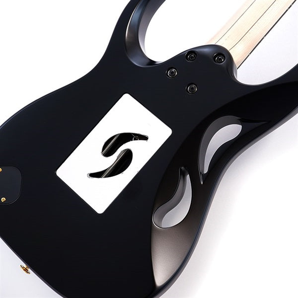 PIA3761-XB_[Paradise_in_Art_Steve_Vai_new_signature_model]_08