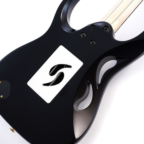 PIA3761-XB_[Paradise_in_Art_Steve_Vai_new_signature_model]_08